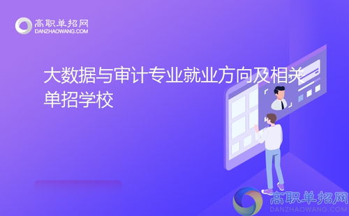 大數(shù)據(jù)與審計專業(yè)就業(yè)方向及相關(guān)單招學(xué)校技術(shù)服務(wù)